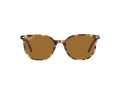Ray-Ban Elliot Sonnenbrille RB 2197 1357/57