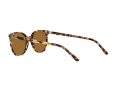 Ray-Ban Elliot Sonnenbrille RB 2197 1357/57