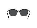 Ray-Ban Elliot Sonnenbrille RB 2197 901/48