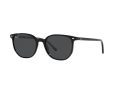 Ray-Ban Elliot Sonnenbrille RB 2197 901/48