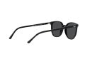 Ray-Ban Elliot Sonnenbrille RB 2197 901/48