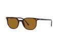 Ray-Ban Elliot Sonnenbrille RB 2197 902/33