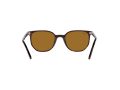 Ray-Ban Elliot Sonnenbrille RB 2197 902/33