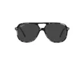 Ray-Ban Bill Sonnenbrille RB 2198 133348