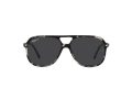 Ray-Ban Bill Sonnenbrille RB 2198 133348