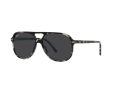 Ray-Ban Bill Sonnenbrille RB 2198 133348