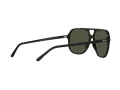 Ray-Ban Bill Sonnenbrille RB 2198 901/31
