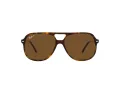 Ray-Ban Bill Sonnenbrille RB 2198 902/57