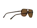 Ray-Ban Bill Sonnenbrille RB 2198 902/57