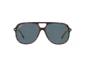 Ray-Ban Bill Sonnenbrille RB 2198 902/R5