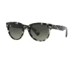 Ray-Ban Orion Sonnenbrille RB 2199 1333/71