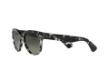 Ray-Ban Orion Sonnenbrille RB 2199 1333/71