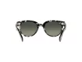 Ray-Ban Orion Sonnenbrille RB 2199 1333/71