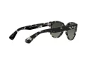 Ray-Ban Orion Sonnenbrille RB 2199 1333/71