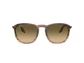 Ray-Ban Sonnenbrille RB 2203 13920A