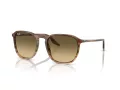 Ray-Ban Sonnenbrille RB 2203 13920A