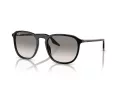 Ray-Ban Sonnenbrille RB 0RB2203 901/32
