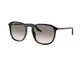 Ray-Ban Sonnenbrille RB 0RB2203 901/32