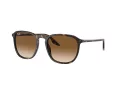 Ray-Ban Sonnenbrille RB 0RB2203 902/51