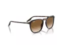 Ray-Ban Sonnenbrille RB 0RB2203 902/51