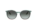 Ray-Ban Sonnenbrille RB 0RB2204 1394GK