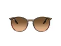 Ray-Ban Sonnenbrille RB 0RB2204 13953B