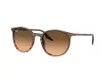 Ray-Ban Sonnenbrille RB 0RB2204 13953B