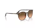 Ray-Ban Sonnenbrille RB 0RB2204 13953B