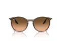 Ray-Ban Sonnenbrille RB 0RB2204 13953B