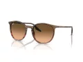 Ray-Ban Sonnenbrille RB 0RB2204 13953B