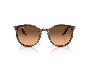 Ray-Ban Sonnenbrille RB 2204 14293B