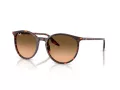 Ray-Ban Sonnenbrille RB 2204 14293B