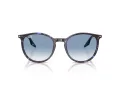 Ray-Ban Sonnenbrille RB 2204 14303F