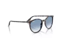 Ray-Ban Sonnenbrille RB 2204 14303F