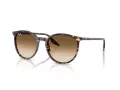 Ray-Ban Sonnenbrille RB 2204 143151