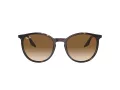 Ray-Ban Sonnenbrille RB 0RB2204 902/51