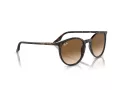 Ray-Ban Sonnenbrille RB 0RB2204 902/51
