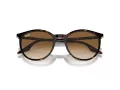 Ray-Ban Sonnenbrille RB 0RB2204 902/51