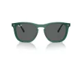 Ray-Ban Sonnenbrille RB 2210 6615B1