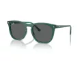 Ray-Ban Sonnenbrille RB 2210 6615B1