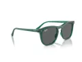 Ray-Ban Sonnenbrille RB 2210 6615B1