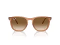 Ray-Ban Sonnenbrille RB 2210 676451