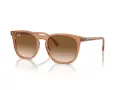 Ray-Ban Sonnenbrille RB 2210 676451