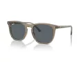 Ray-Ban Sonnenbrille RB 2210 6765R5