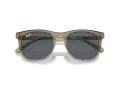 Ray-Ban Sonnenbrille RB 2210 6765R5