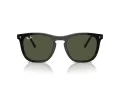 Ray-Ban Sonnenbrille RB 2210 901/31