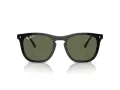 Ray-Ban Sonnenbrille RB 2210 901/58