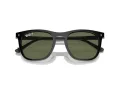Ray-Ban Sonnenbrille RB 2210 901/58