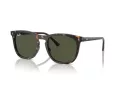 Ray-Ban Sonnenbrille RB 2210 902/31