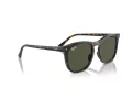 Ray-Ban Sonnenbrille RB 2210 902/31